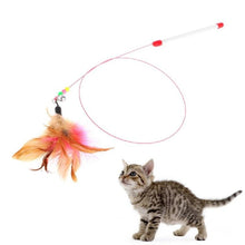 Load image into Gallery viewer, Pet cat toy,Hot,Cute Design,Plastic,Steel Wire,Feather Teaser Wand,Toy for cats interactive,Products For pet,110cm,Free shipping