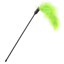 Load image into Gallery viewer, Pet cat toy,Hot,Cute Design,Plastic,Steel Wire,Feather Teaser Wand,Toy for cats interactive,Products For pet,110cm,Free shipping