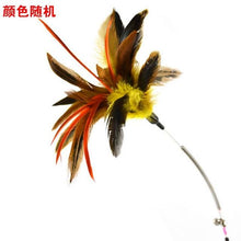 Load image into Gallery viewer, Pet cat toy,Hot,Cute Design,Plastic,Steel Wire,Feather Teaser Wand,Toy for cats interactive,Products For pet,110cm,Free shipping